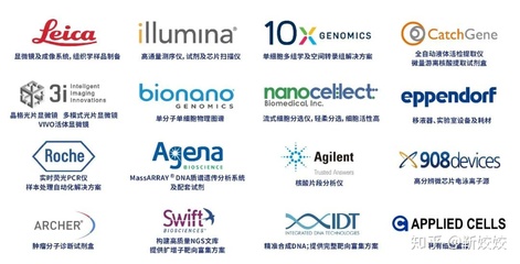 Nature | 斯坦福大学通过单细胞转录组测序绘制人的肺细胞图集